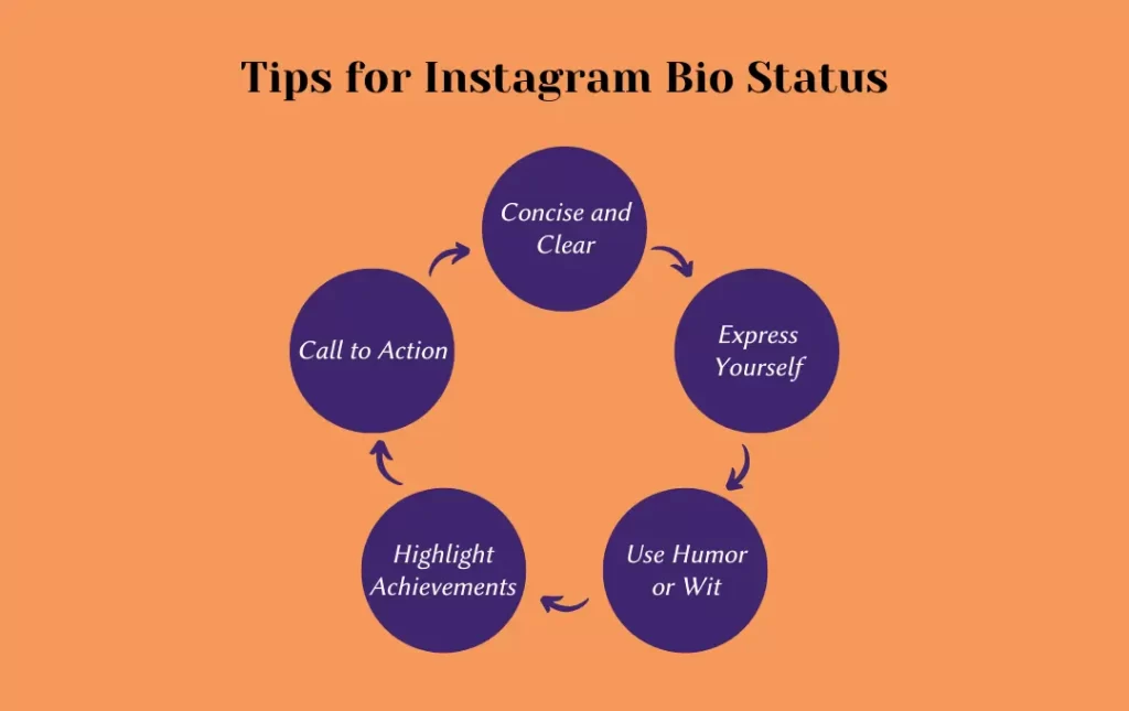 Tips for Instagram Bio Status