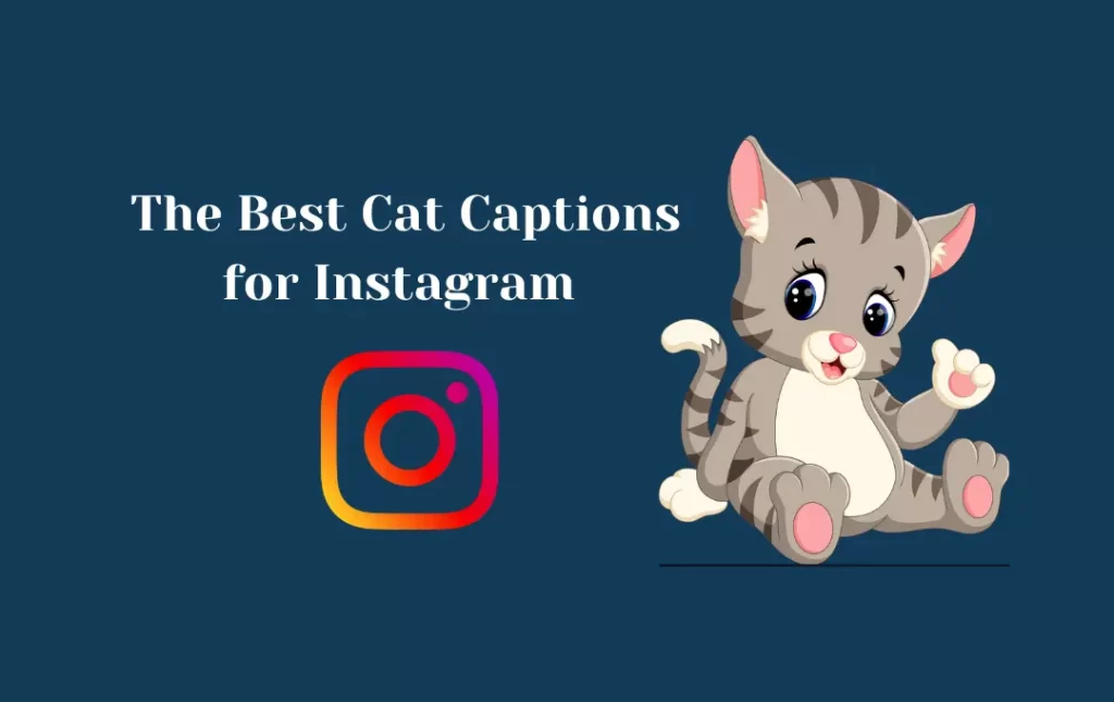  The Best Cat Captions for Instagram