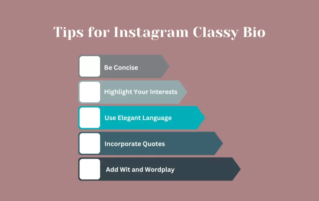 Infographics: Instagram Classy Bio