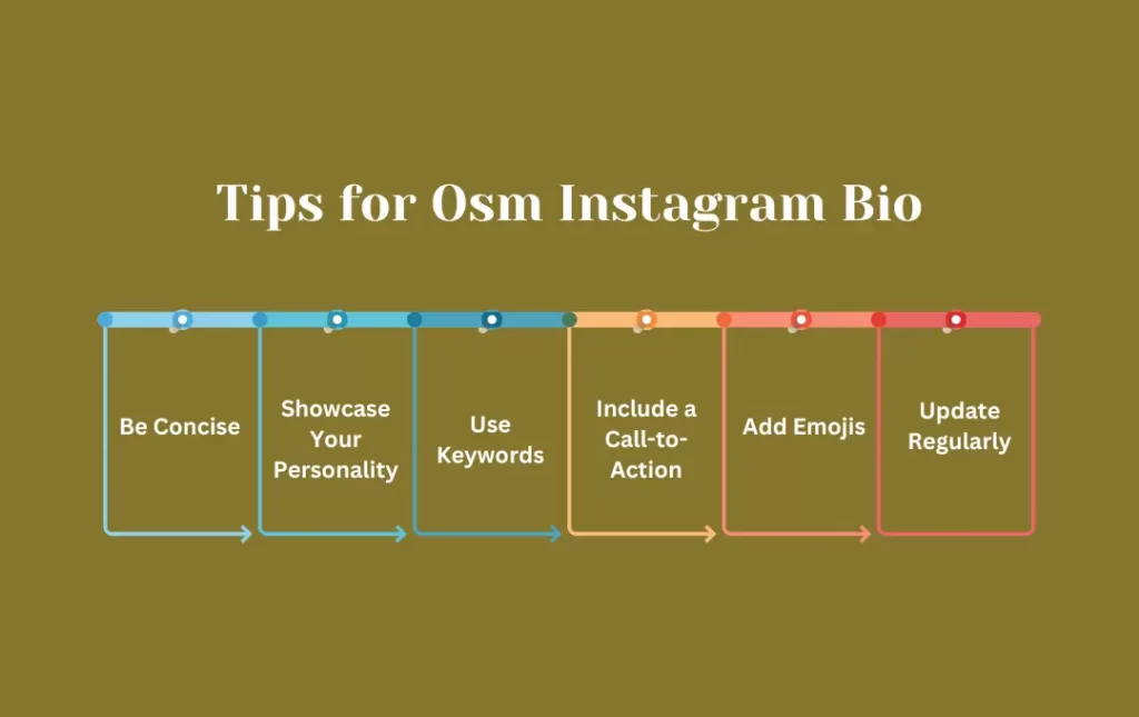 Infographics: Tips for Osm Instagram Bio