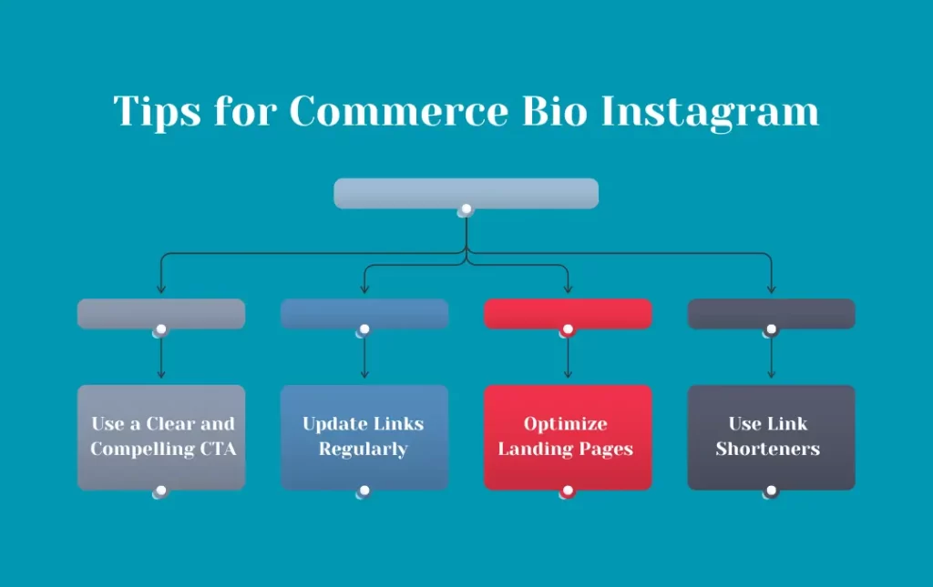 Infographics: Tips for Commerce Bio Instagram