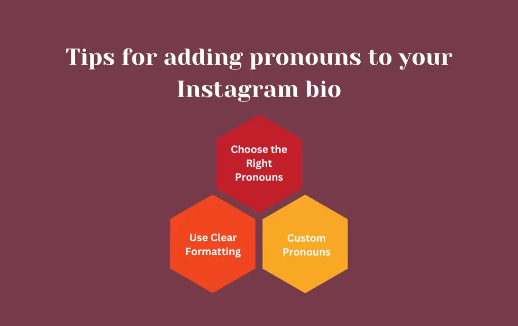 Infographics: Tips for adding pronouns to your Instagram bio