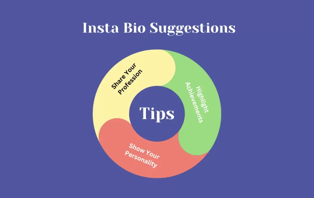 Infographics: Tips for  Insta Bio Suggestions