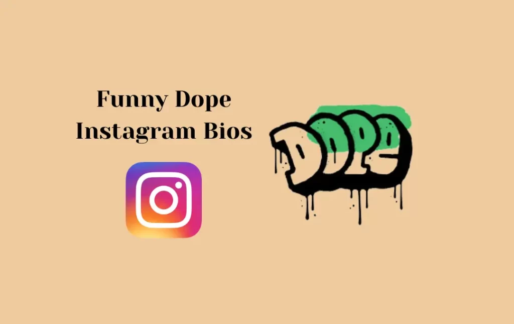 Funny Dope Instagram Bios