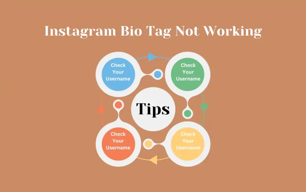 Infographics: Tips for Instagram Bio Tag Not Working