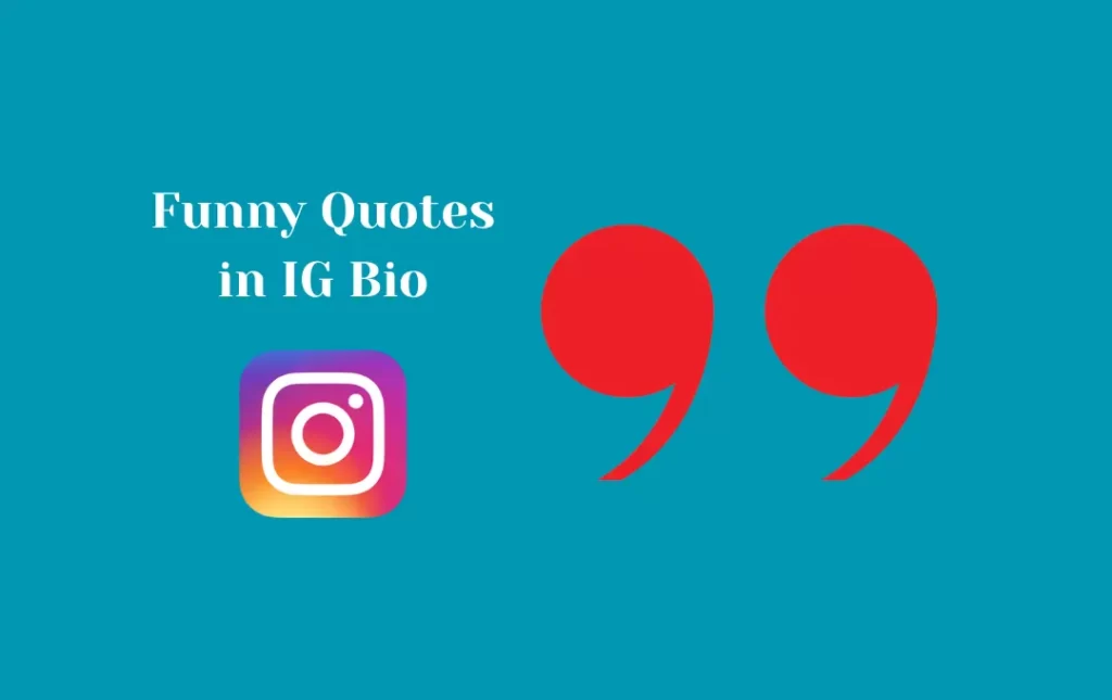 Funny Quotes in IG Bio