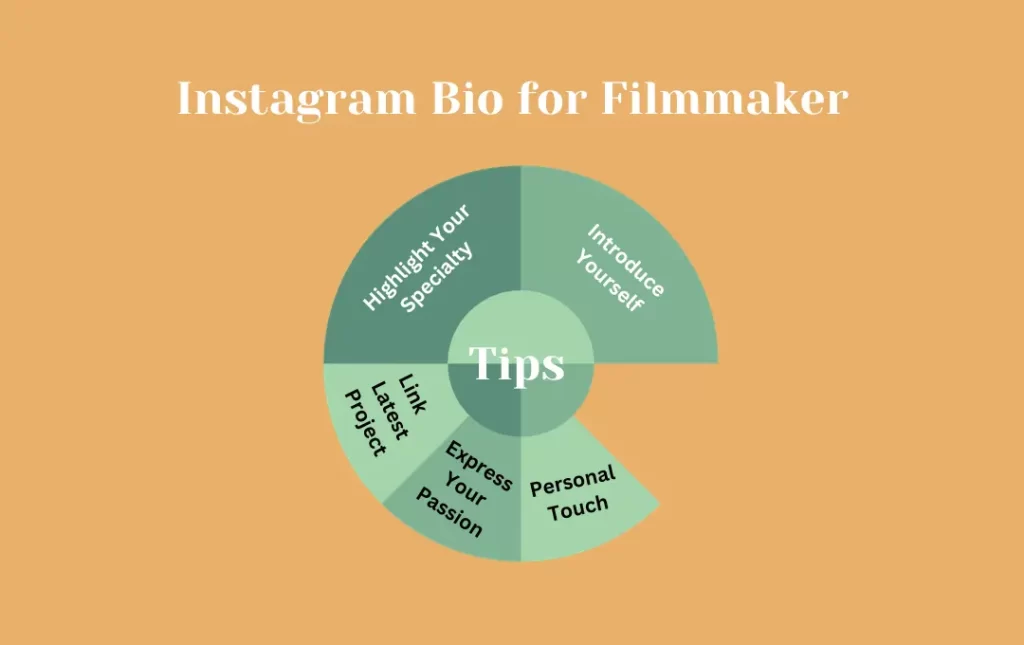 Infographics: Tips for Instagram Bio for Filmmaker