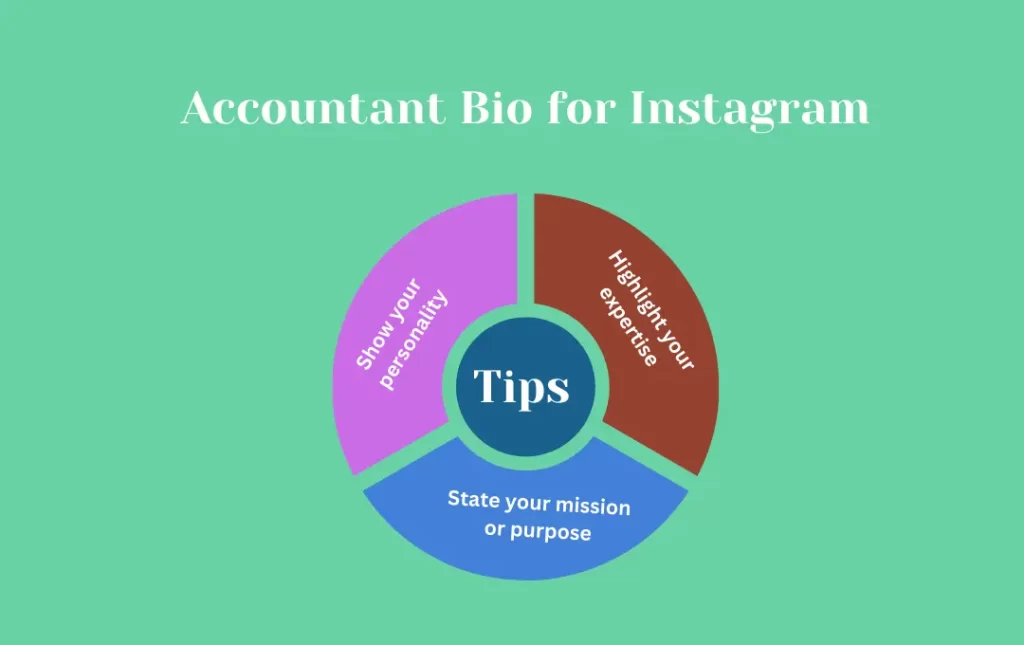 Infographics: Tips for Accountant Bio for Instagram