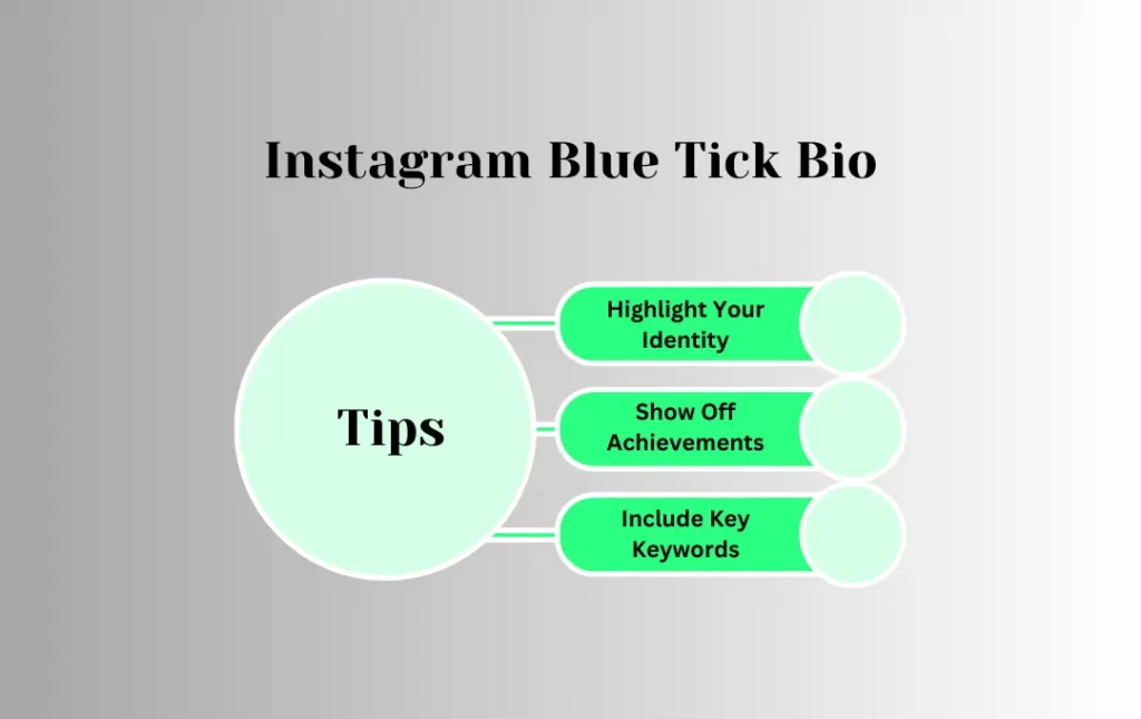 Infographics: Tips for Instagram Blue Tick Bio