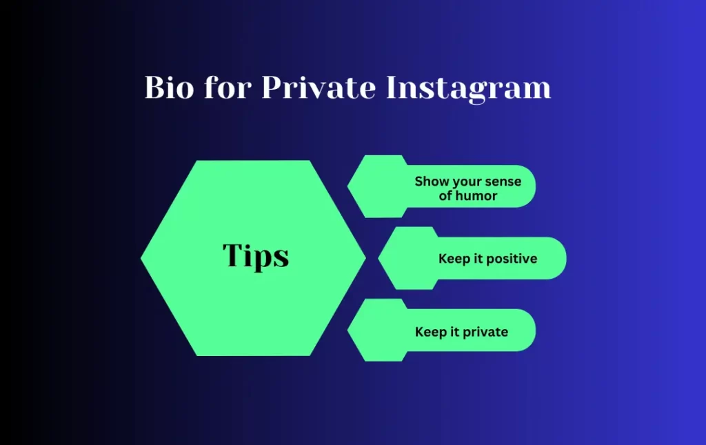 Infographics: Tips for Bio for Private Instagram