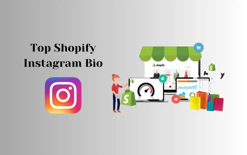 Top Shopify Instagram Bio