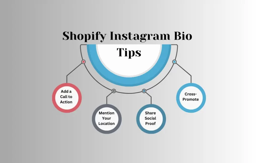 Infographics: Tips for Shopify Instagram Bio  