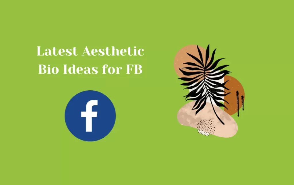 Latest Aesthetic Bio Ideas for FB