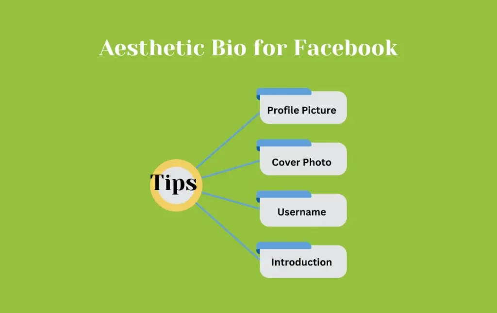 Infographics: Tips for Aesthetic Bio for Facebook
