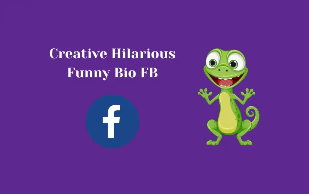 Creative Hilarious Funny Bio FB