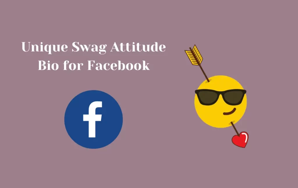 Unique Swag Attitude Bio for Facebook