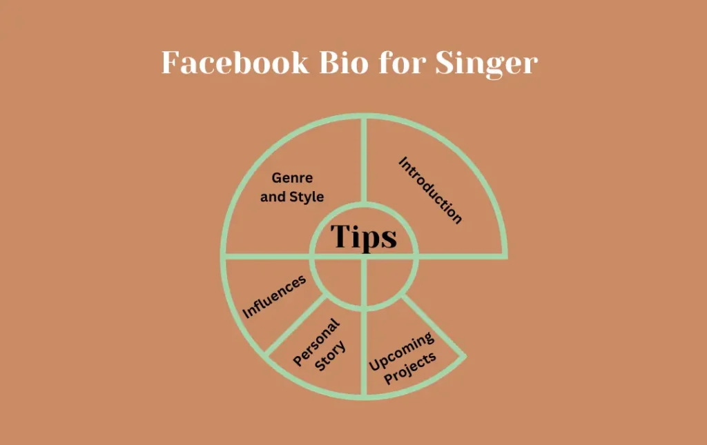 Infographics: Tips for Facebook Bio for Singer