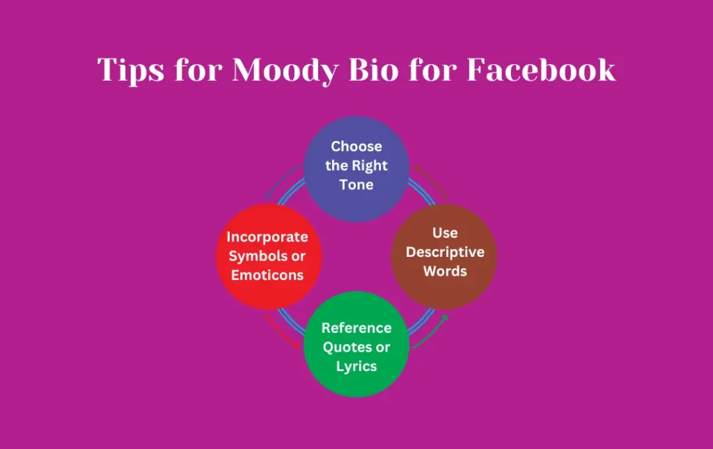 Infographics: Tips for Moody Bio for Facebook