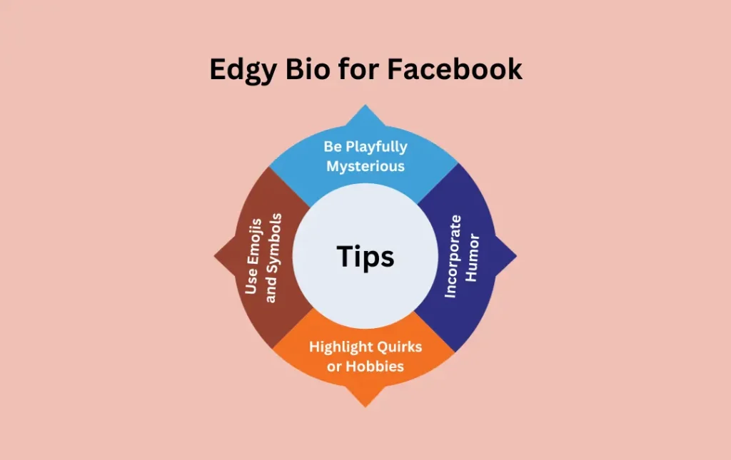 Infographics: Tips for Edgy Bio for Facebook