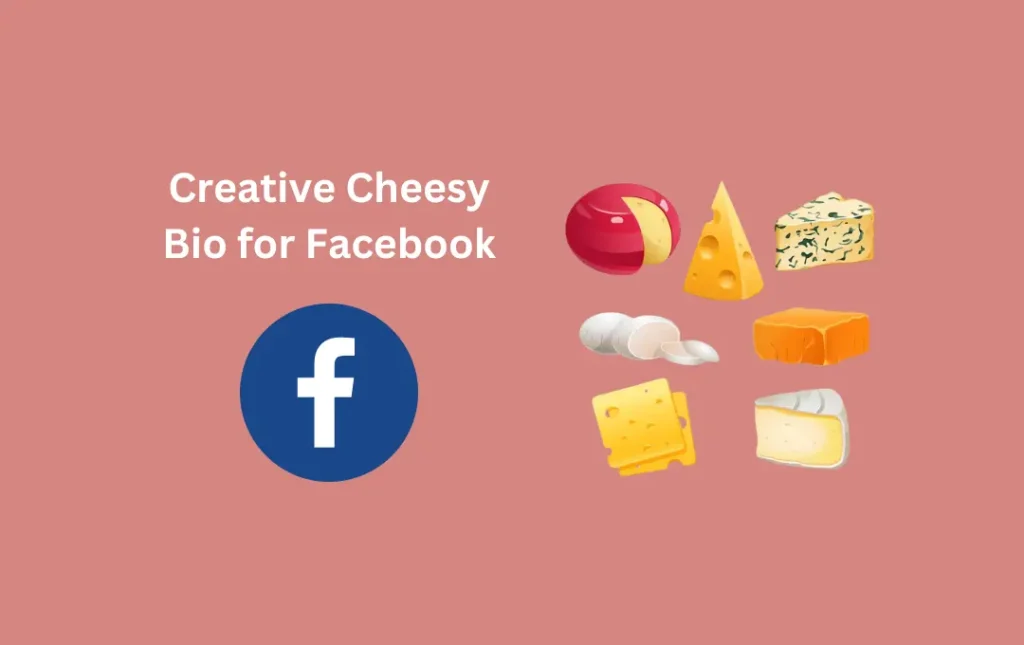 Creative Cheesy Bio for Facebook