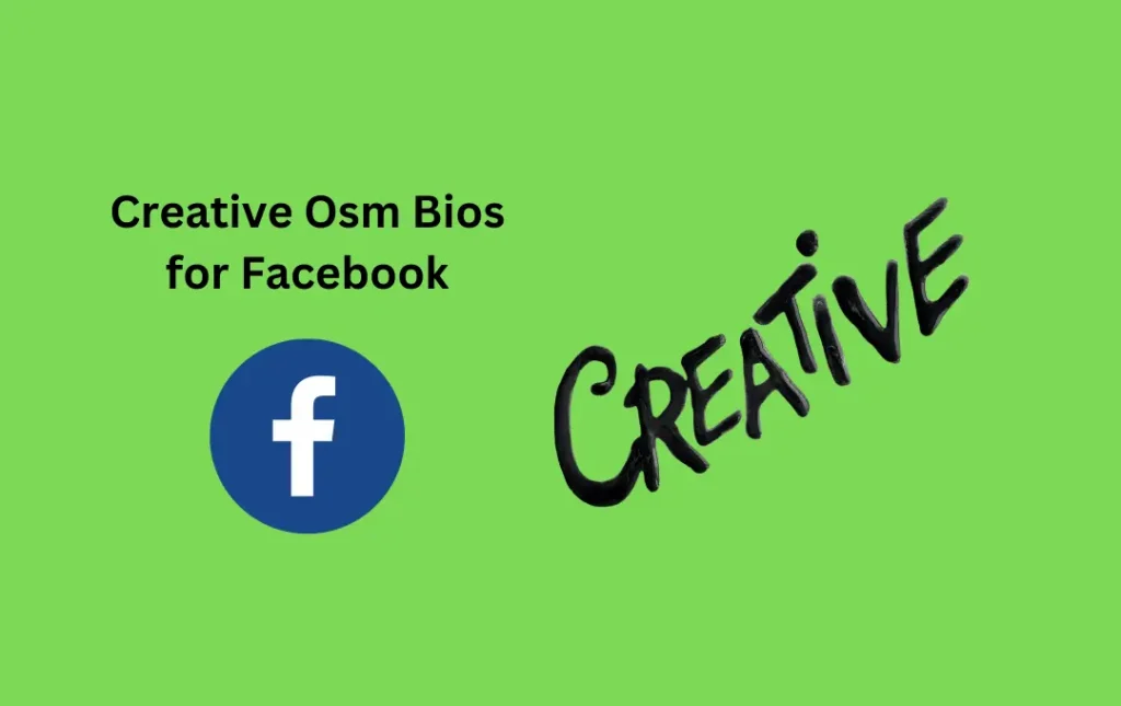 Creative Osm Bios for Facebook