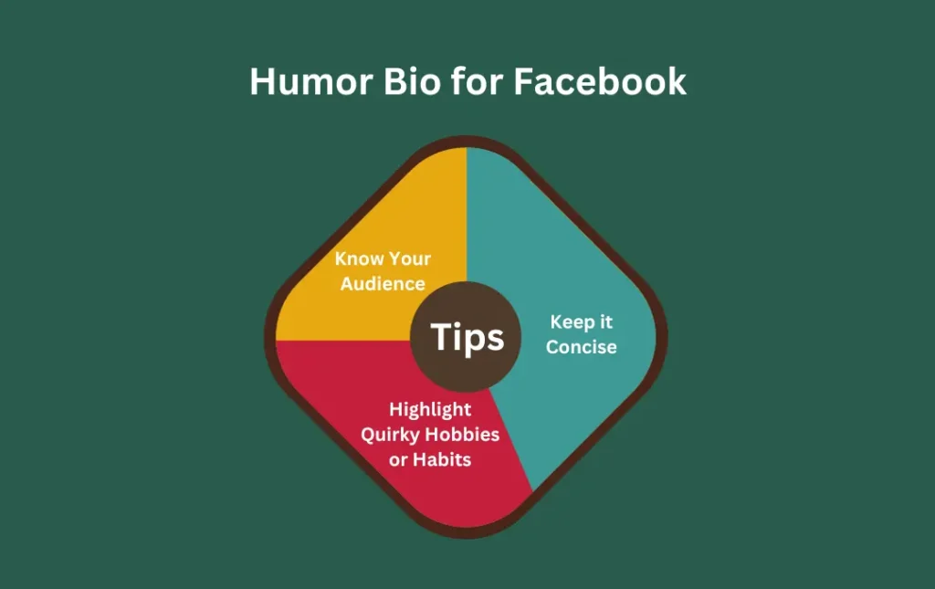 Infographics: Tips for Humor Bio for Facebook
