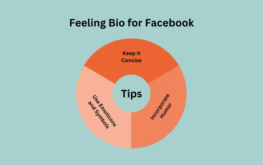 Infographics: Tips for Feeling Bio for Facebook