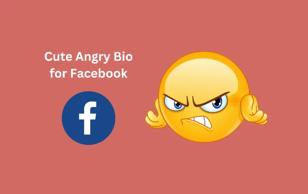 Cute Angry Bio for Facebook