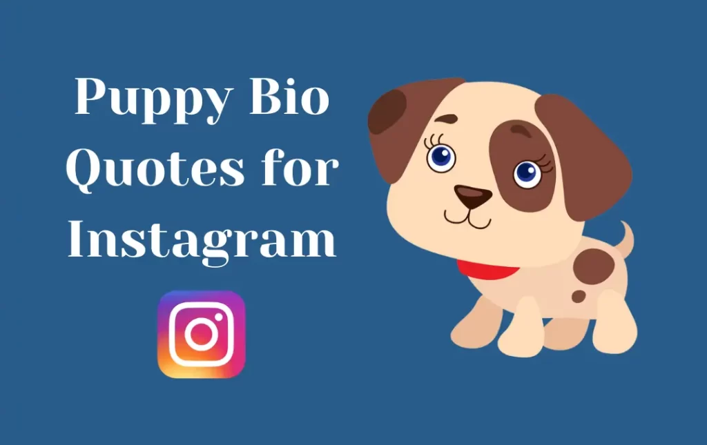 Puppy Bio Quotes for Instagram Bio