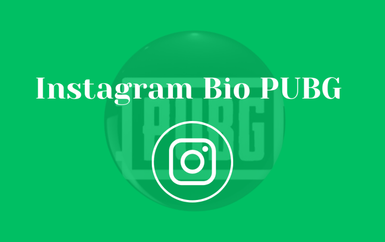 Best Instagram Bio PUBG | Instagram Bio for PUBG Lovers (Latest PUBG Bio 2024)