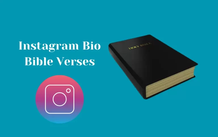 Amazing Instagram Bio Bible Verses | Bible verses & Quotes