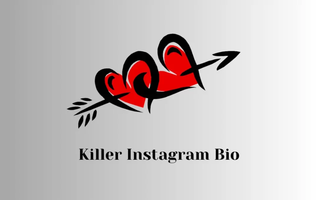Instagram Killer Bio