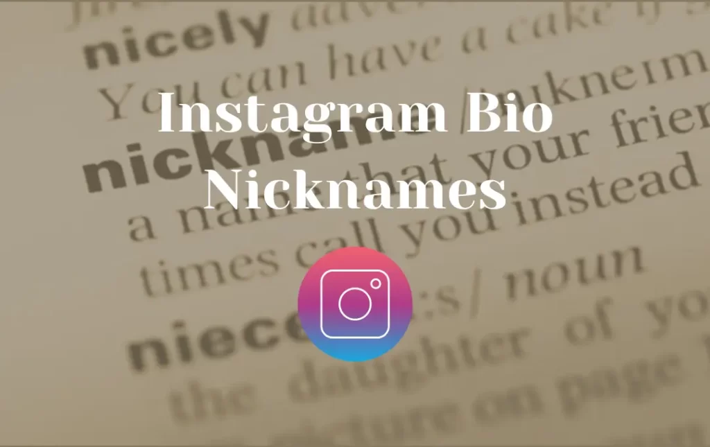 Instagram Bio Nickname