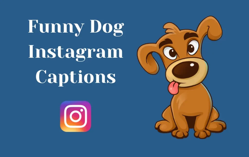 Funny Dog Instagram Captions for Bio