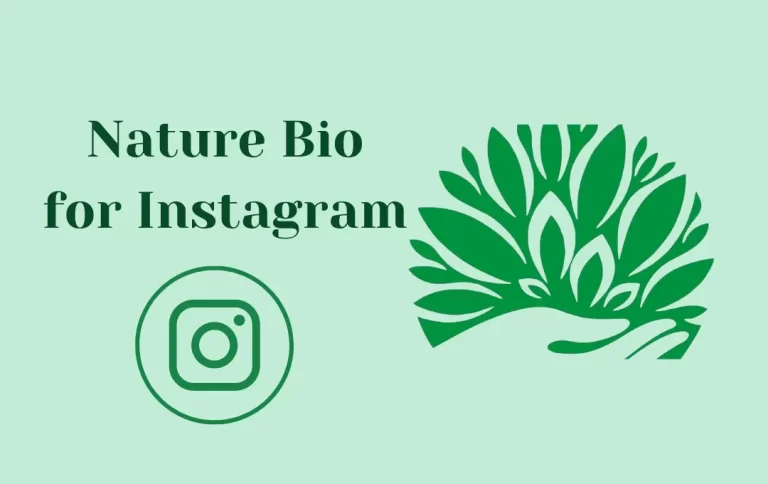 Best Nature Bio for Instagram | Unique & Awesome Nature Captions for Instagram Bio