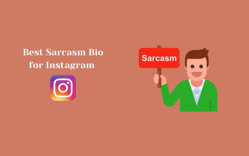 Sarcasm Bio for Instagram