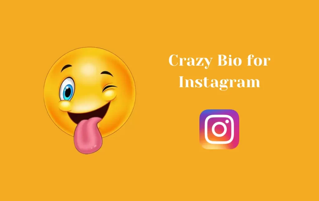 Crazy Bio for Instagram