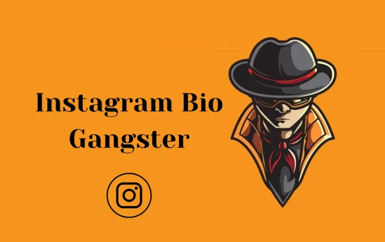 Awesome Instagram Bio Gangster (Latest Instagram Bio For Gangster Boys & Girls 2024)