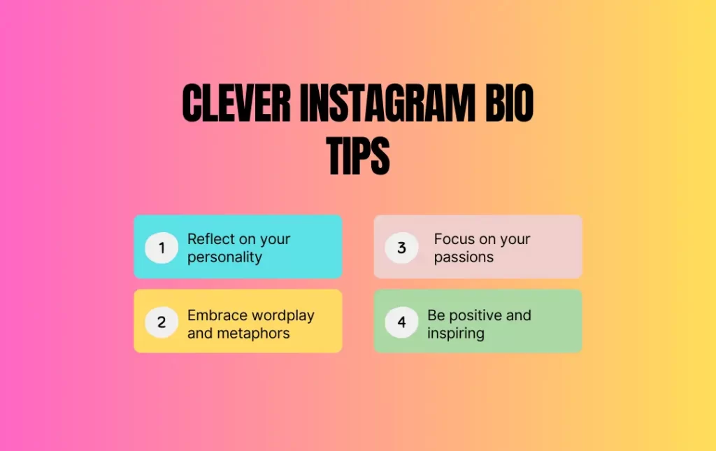 clever instagram bio tips infographics