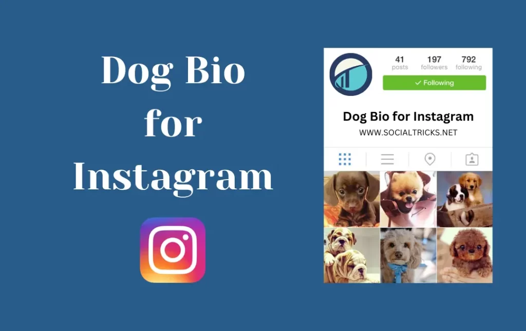 Dog Bio for Instagram