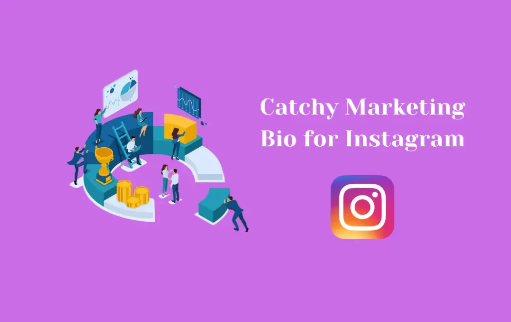 Catchy Digital Marketing Bio for Instagram
