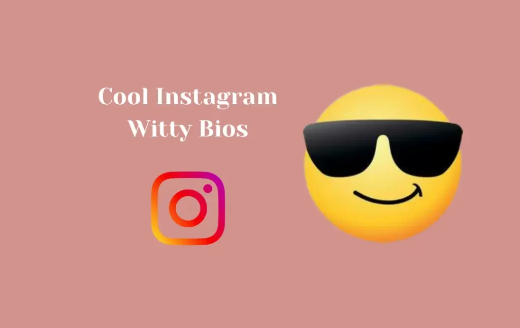 cool instagram witty bio