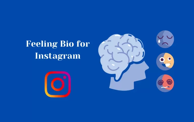 Awesome Feeling Bio for Instagram | Sad Bio to Share Feelings