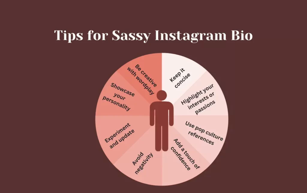 infographics: tips for sassy instagram bio