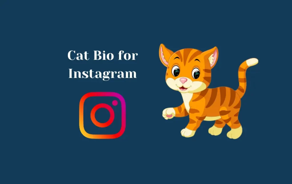 Cat Bio for Instagram