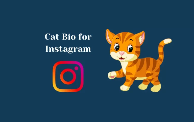 Best Cat Bio for Instagram | Cat Bio Quotes & Captions for Instagram
