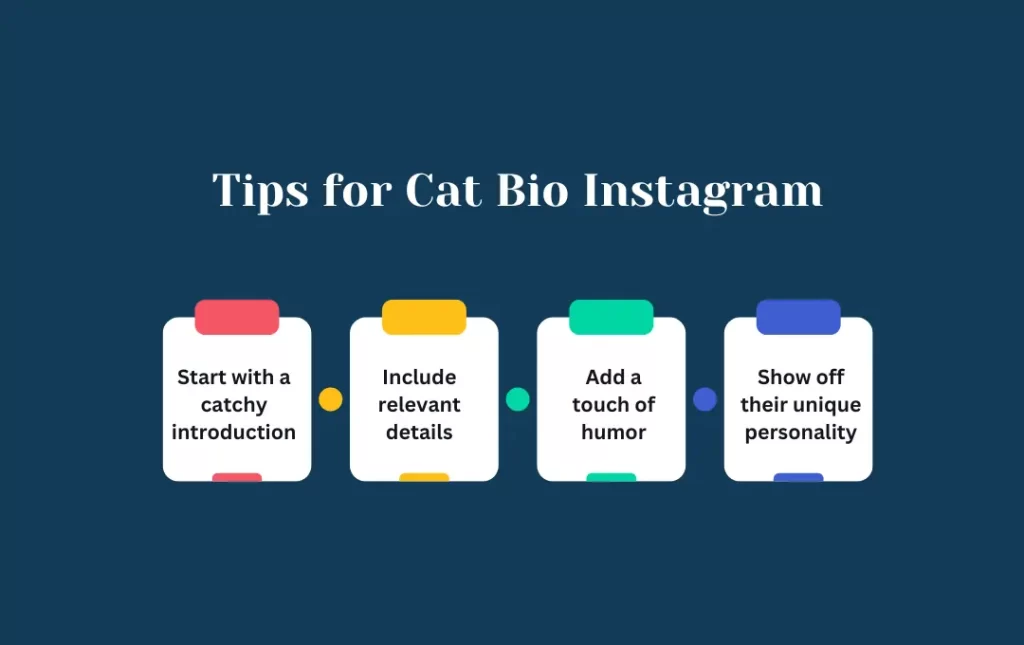 infographics: cat bio for instagram