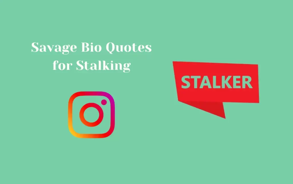 instagram stalker ecards