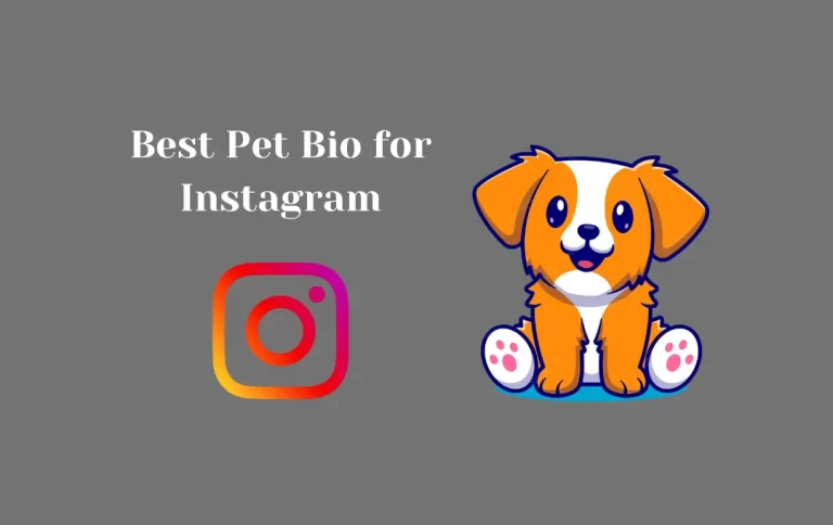 Best Pet Bio for Instagram | Pet Captions & Quotes for Instagram Bio