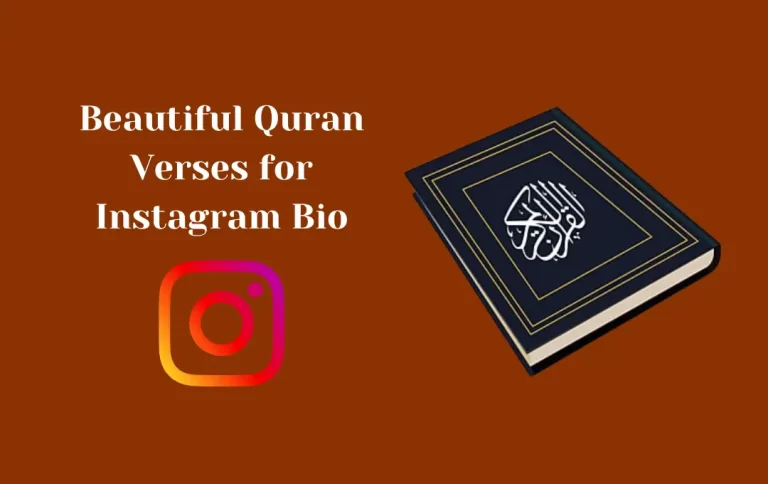 Beautiful Quran Verses for Instagram Bio | Islamic Quotes & Captions  for Instagram Bio